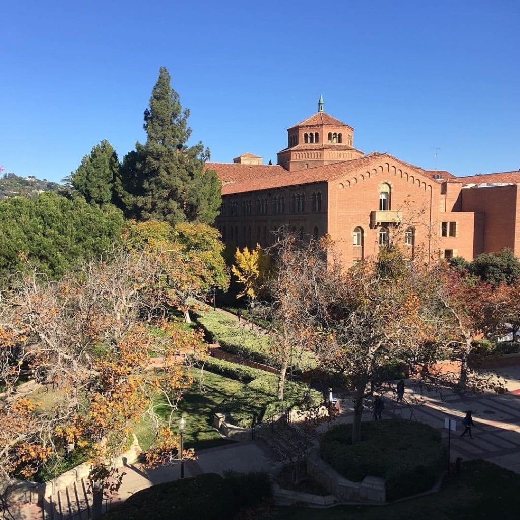 The sun setting on UCLA's campus